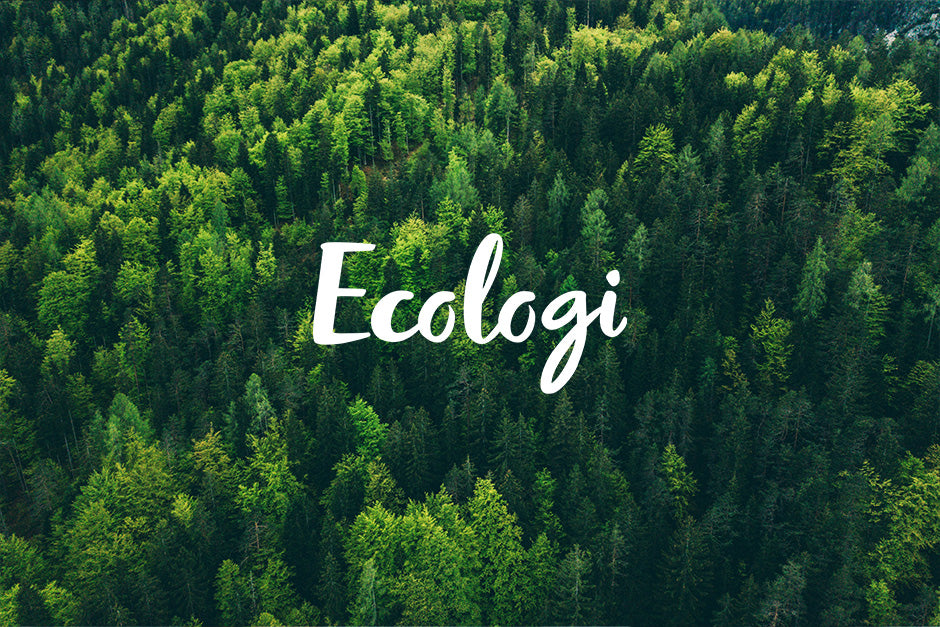 Every Purchase with Us Means More Green Trees for the Planet!