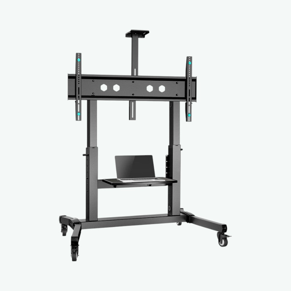 Mobile TV stand 50"-100"